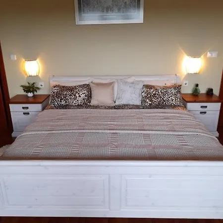 B&B Canadian Style House With 3d Effect Pool