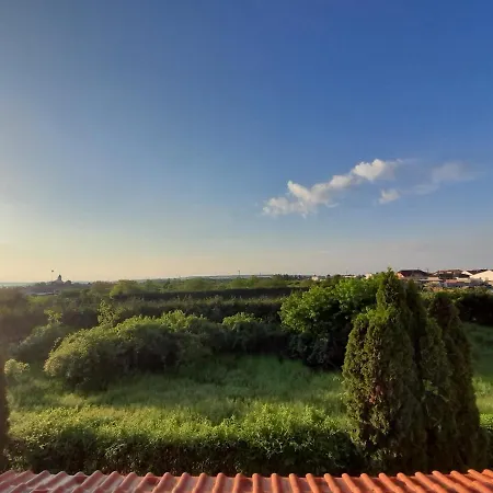 Canadian Style House With 3d Effect Pool *