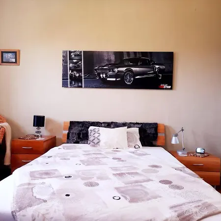 Canadian Style House With 3d Effect Pool B&B Vinosady