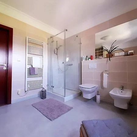 Canadian Style House With 3d Effect Pool