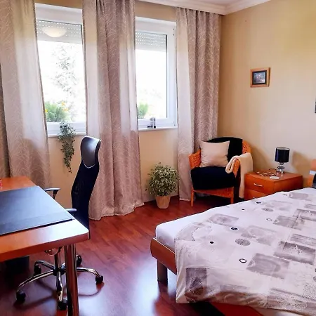 Canadian Style House With 3d Effect Pool * Vinosady