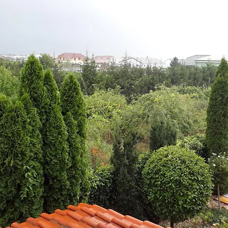 Canadian Style House With 3d Effect Pool فندق مبيت وإفطار Vinosady