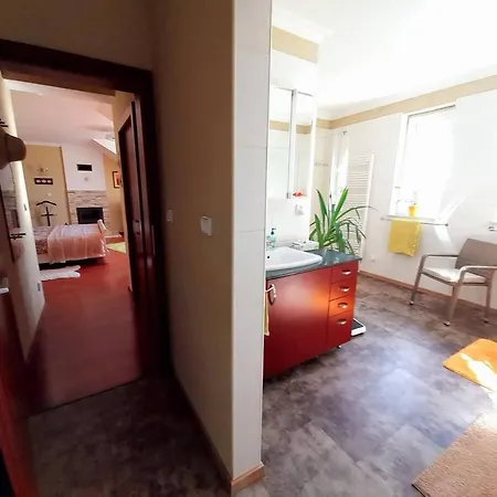 Canadian Style House With 3d Effect Pool B&B