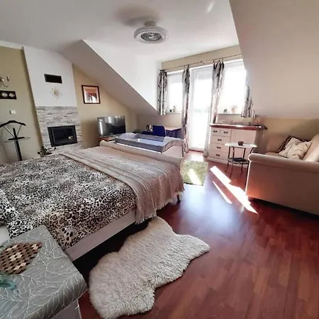 فندق مبيت وإفطار Canadian Style House With 3d Effect Pool Vinosady