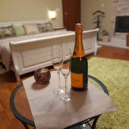 Canadian Style House With 3d Effect Pool B&B Vinosady