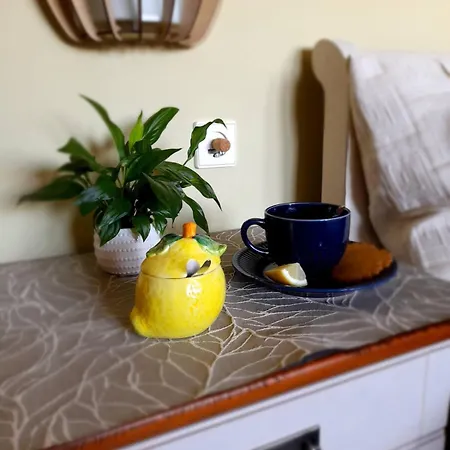 فندق مبيت وإفطار Canadian Style House With 3d Effect Pool Vinosady