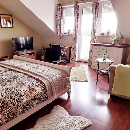 B&B Canadian Style House With 3d Effect Pool *