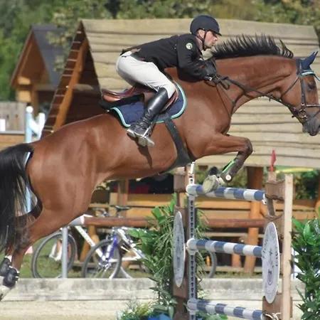 Canadian Style House With 3d Effect Pool B&B *