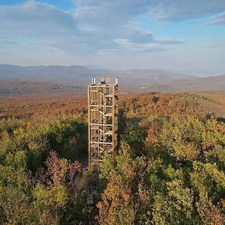 Canadian Style House With 3d Effect Pool Vinosady