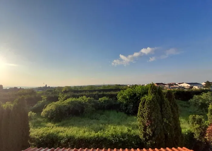Canadian Style House With 3d Effect Pool *