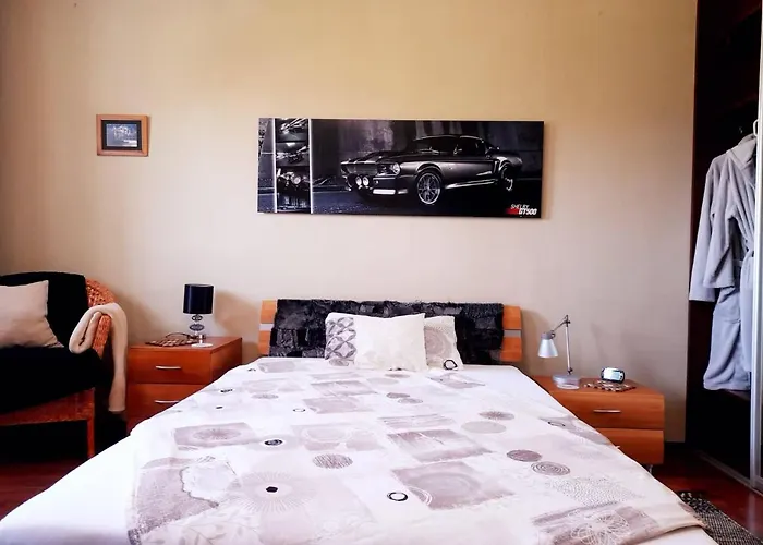 Canadian Style House With 3d Effect Pool Frühstückspension Vinosady