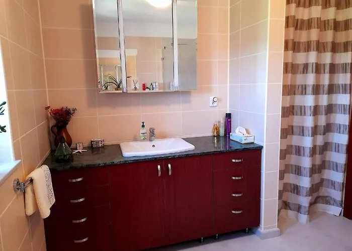 Frühstückspension Canadian Style House With 3d Effect Pool Vinosady