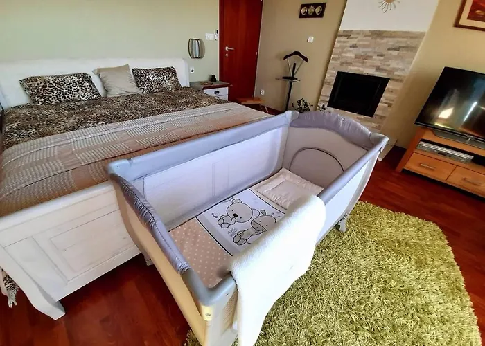 Frühstückspension Canadian Style House With 3d Effect Pool Vinosady