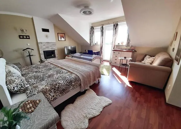 Frühstückspension Canadian Style House With 3d Effect Pool Vinosady