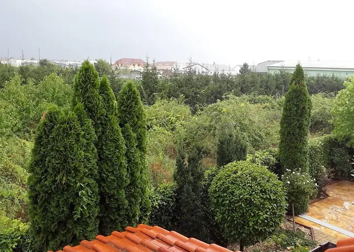 Canadian Style House With 3d Effect Pool Frühstückspension