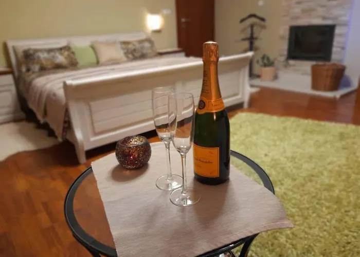 Canadian Style House With 3d Effect Pool Frühstückspension Vinosady