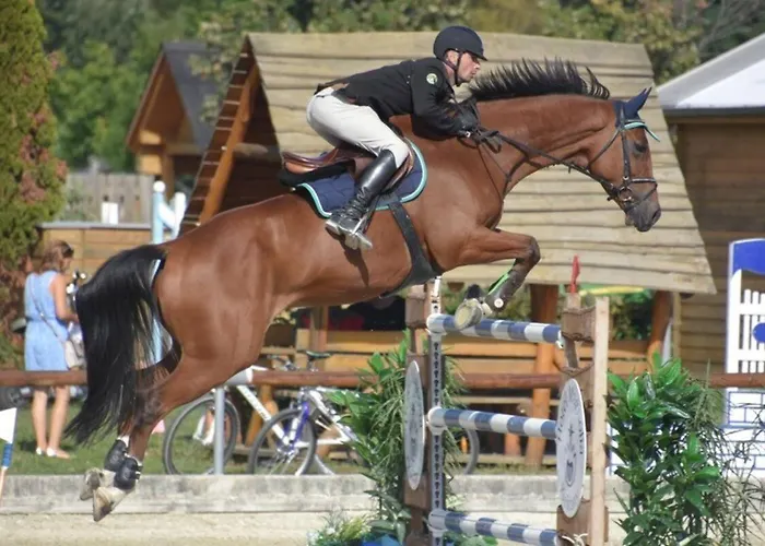 Canadian Style House With 3d Effect Pool Frühstückspension *