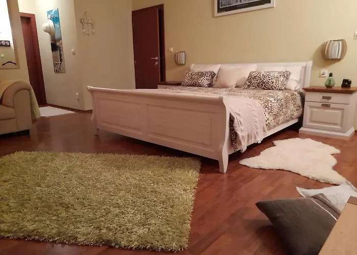 Frühstückspension Canadian Style House With 3d Effect Pool Vinosady