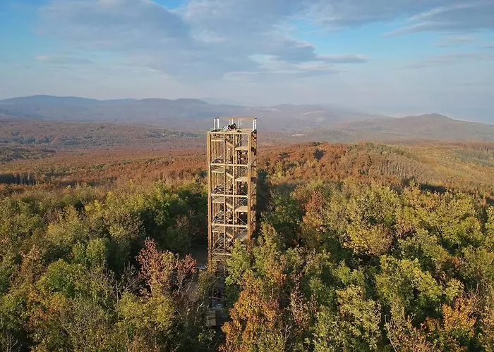 Canadian Style House With 3d Effect Pool Vinosady